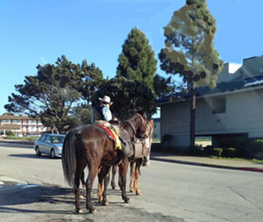 Bayfront Inn Morro Bay Exterior photo